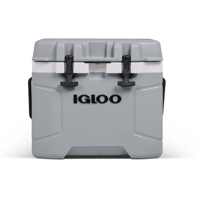 Frosted Frog Mint 45 Quart Ice Chest Heavy Duty High Performance