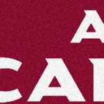 arizona cardinals