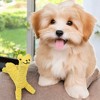 Alilang Durable Dog Rope Chew Toy for Interactive Play, Fun for Small to Medium Dogs - 2 of 4