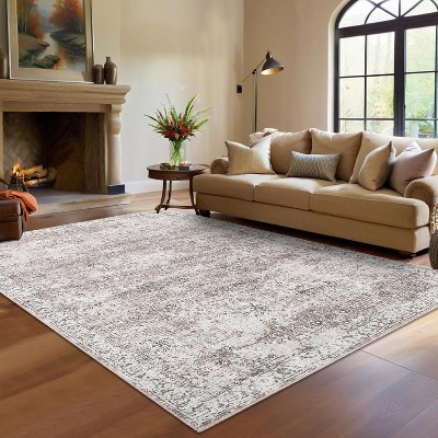 Boho Area Rug, Machine Washable Vintage Distressed Soft Low-Pile Carpet, Non-Slip Non-Shedding Floor Rug for Bedroom, Dining, Living Room