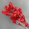 Alilang Decorative Dried Leafy Branches for Modern Home Decoration and Floral Arrangements, 15.5 Inches - 2 of 3