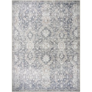 Mark & Day Lorelai Washable Woven Indoor Area Rugs - Vivir x Livabliss - 1 of 4