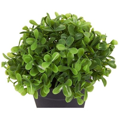 Mini Green Plastic Boxwood Topiary Centerpiece Set