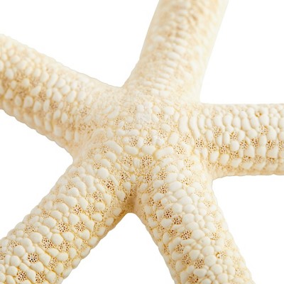 12 Pack White Finger Starfish for Nautical Decor and Crafts