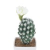 Unique Bargains Artificial Plants Flowering Cactus in Pot Plastic 3.03"x3.03"x7.87" 1 Pcs - 4 of 4