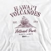 Men's Hawaii Volcanoes National Park Volcano Icon Pull-Over Hoodie - 2 of 4
