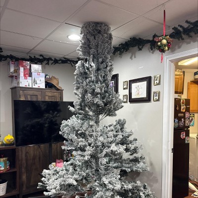 Guest review image 1 of 1, zoom in