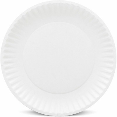 White 9" Compostable Paper Plates, 100-Pack