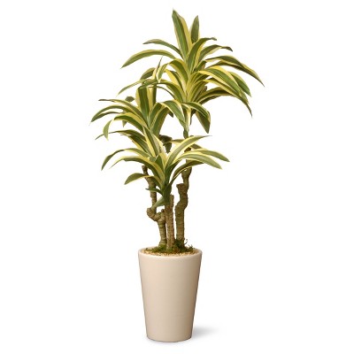 Garden Accents Artificial Dracaena Plant 21" - National Tree Company