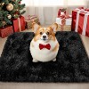 2x3 Fluffy Area Rugs for Bedroom Living Room, Small Soft Shag Fuzzy Shaggy Carpets for Kids Boys and Girls Dorm Home Decor - 3 of 4