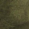 fern