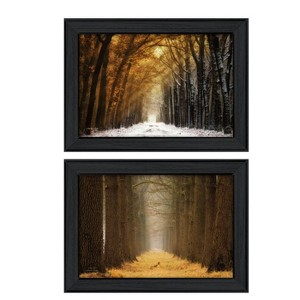 Gulches 2-Piece Vignette By Martin Podt, Printed Wall Art, Ready To Hang Framed Poster, Black Frame(Golden Forest Path Collection) - 1 of 4