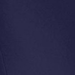 navy floral embroidery
