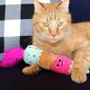 Quirky Kitty Ice Cream Kicker Cat Toy - 4 of 4