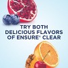 Ensure Liquid Clear Nutrition Drink, Blueberry Pomegranate, 10 oz, Case of 12 - 4 of 4