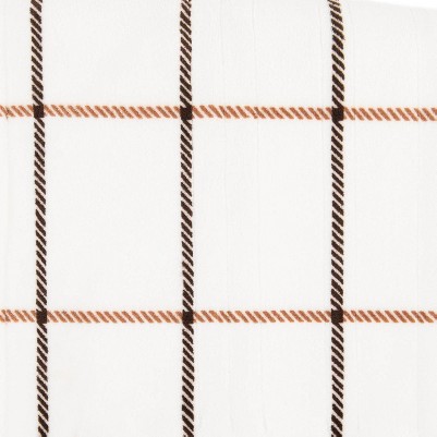 Camel Window Pane