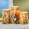 Collections Etc 3-Piece Harvest Cats LED Lighted Flameless Battery-Operated Candle Set - 2 of 2