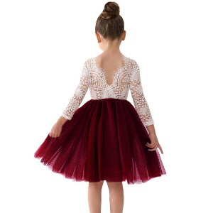 target burgundy lace dress 2Bunnies Girls' 6M-12yr Peony Sleeve Knee Flower Girl 2T Zebra Print Square Neck Polyester Dress Elley Women's Short Country Size:48R/42W (slim) care lace