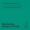 Moisturizing Dog Shampoo Delicate Cedarwood - 16 fl oz - Kindfull™ - 4 of 4