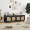 ORRD Double Hidden Cat Litter Box Enclosure Furniture with Rattan Doors - 2-Entrance Cabinet for Two Cats, Odor Control,Black - 2 of 4