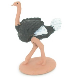 Collectible Wildlife Gifts | Ostrich, Flightless Wonder, Struthio camelus, Hand Painted, Rubber Bird, Realistic Figure,  Model, Gift,  2 1/2" SF25 B45 - 1 of 4