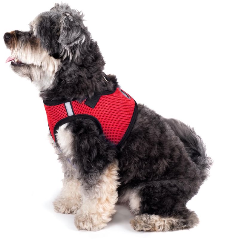 The Worthy Dog Mesh Sidekick Harness Vest, 3 of 4