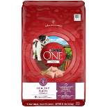 Purina ONE Healthy in Chicken Flavor Puppy Dry Dog Food - 31.1lbs