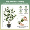Angel Sar 2-Pack Artificial Camellia Trees, 4ft Faux Blooming Flower Plants in Black Pots, Realistic Indoor Decor for Home Office Wedding - 3 of 4