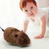 Plush roll mouse shaped toy, realistic and interesting clock cartoon animal auxiliary teaching tool, children's toy decoration gift - 4 of 4