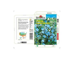 Burpee Chinese Forget-Me-Not Blue Firmament Flower Seeds - 1 of 1