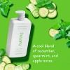 Native Body Wash for Women & Men - Cucumber & Mint - Sulfate Free with Pump - 36 fl oz - 4 of 4