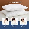 Martex Sweet Dreams Twin Pack Pillow - 3 of 4