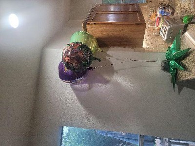 Guest review image 2 of 3, zoom in
