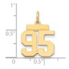 Black Bow Jewelry 14k Yellow Gold, Athletic Collection, Small Polished Number 95 Pendant - 2 of 3