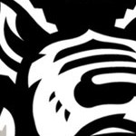 north carolina state wolfpack