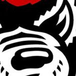 north carolina state wolfpack