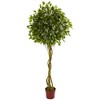 Nearly Natural 6-ft Ficus Artificial Topiary Tree, UV Resistant (Indoor/Outdoor) - 2 of 2