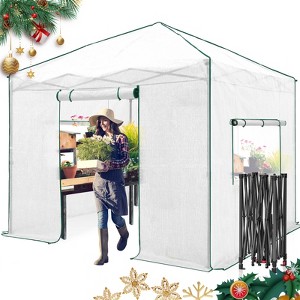 EAGLE PEAK 10x10 ft Instant Pop-up Greenhouse, Walk in Plant Gardening Greenhouse with Roll-Up Zipper Doors and Side Windows, Green/Clear - 1 of 4