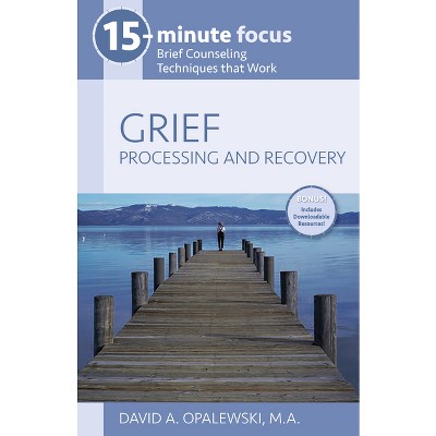15-Minute Focus: Grief: Processing and Recovery - by  David A Opalewski (Paperback)