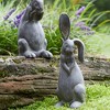 Long Ear Stone Rabbit Garden Statue (Set of 2) - 3 of 3