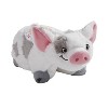 Moana pua deals pillow pet