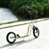 VisioGear Youth Scooter, 12-Inch Front Wheel, Ride On Toy for Age 5+, Beige, 47.3"*22.8"*33.5" - 4 of 4