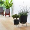 Bloem Hopson Round Resin Planter Pot with Metal Stand Indoor and Outdoor Gardening - 2 of 4