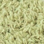 plaid sage green
