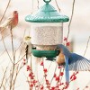Songbird Essentials Green Clingers Only Bird Feeder (8.5" Tall) - 2 of 3