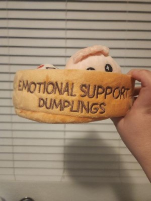 Emotional Support Nuggets, Emotional Support Dumplings, Emotional