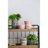 A&B Home 3pc Outdoor Decor Floral Naturespire Planters - Blue: Ceramic, No Drainage Hole, Freestanding - 3 of 4