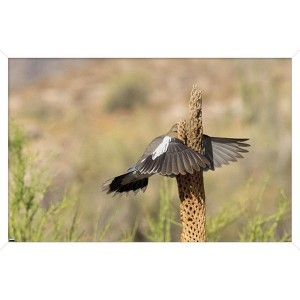 Trends International The Comedy Wildlife Photography Awards: Wendy Kaveney - That Wasn't Here Yesterday Framed Wall Poster Prints - 1 of 4