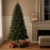 HomeRoots 7' Pre Lit Full Fir Christmas Tree - 2 of 4