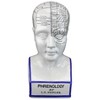 Design Toscano Porcelain Phrenology Head Statue - 2 of 4